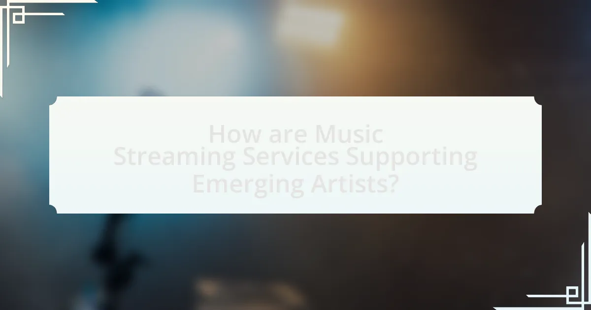 How are Music Streaming Services Supporting Emerging Artists?