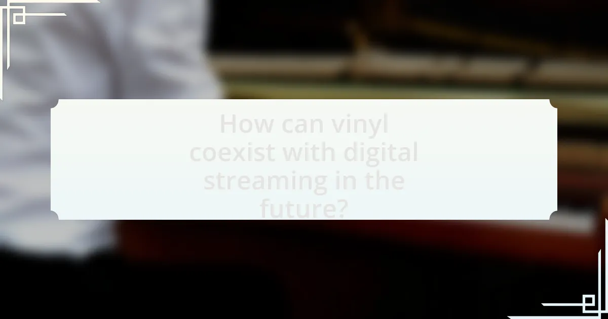 How can vinyl coexist with digital streaming in the future?