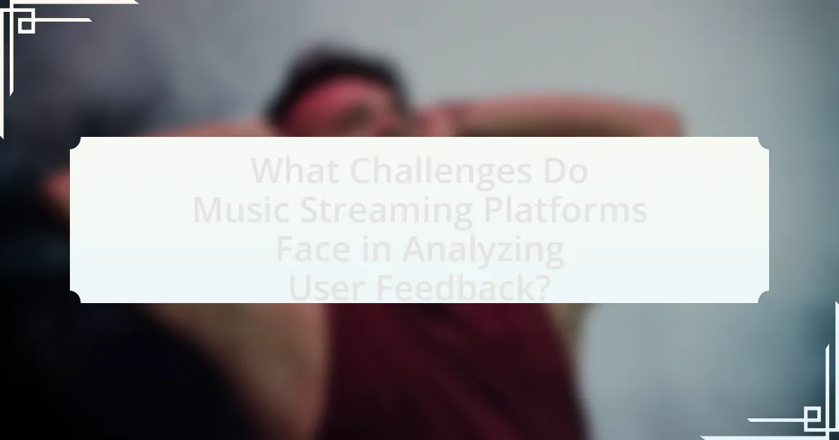 What Challenges Do Music Streaming Platforms Face in Analyzing User Feedback?