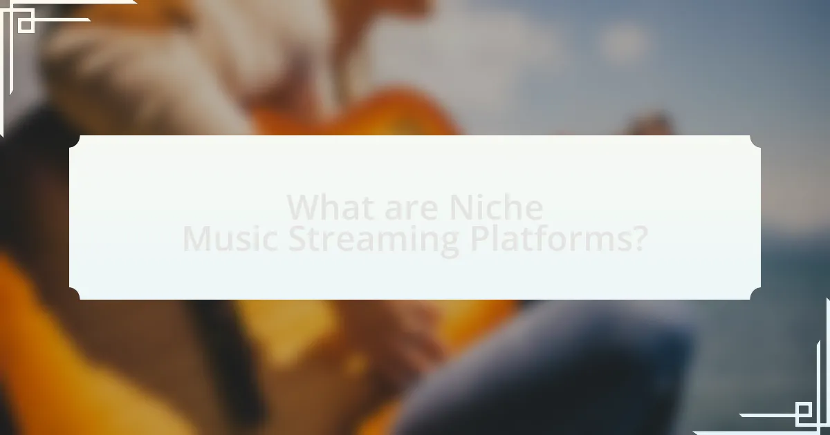 What are Niche Music Streaming Platforms?