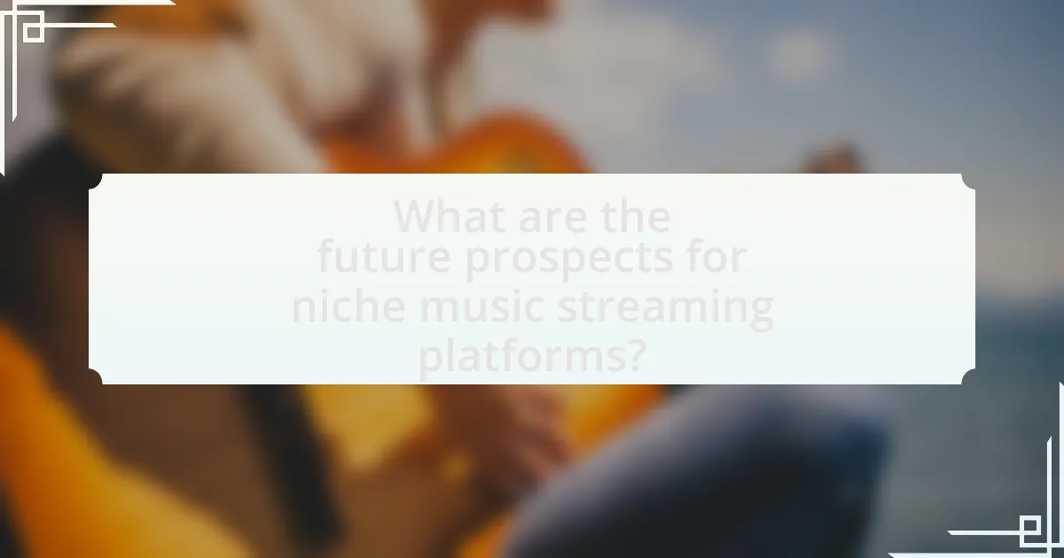 What are the future prospects for niche music streaming platforms?