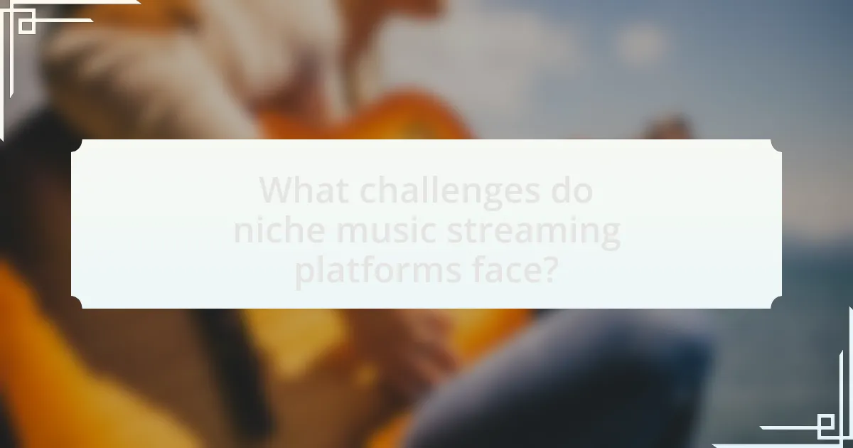 What challenges do niche music streaming platforms face?
