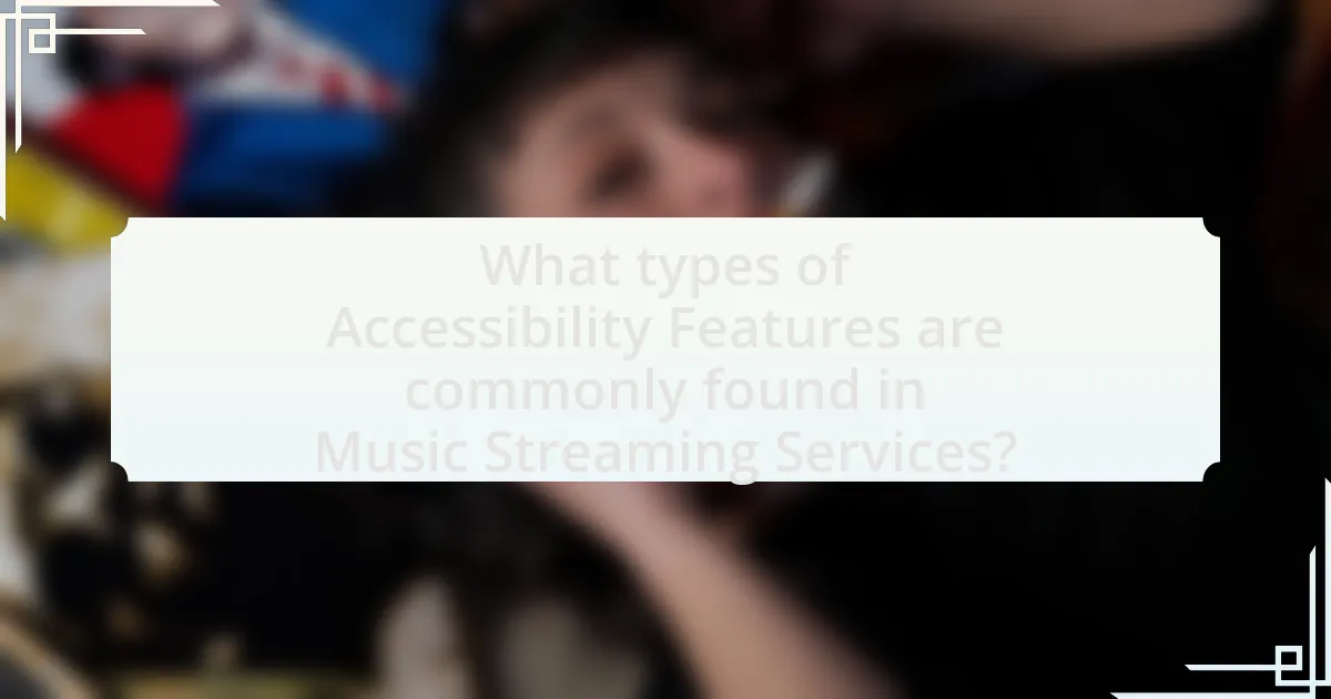 What types of Accessibility Features are commonly found in Music Streaming Services?